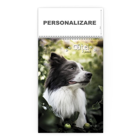 Agende & Calendare - Calendar de Perete Catei Portrete