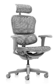Executiv-Directorial-Vizitator - ERGOHUMAN2 STANDARD GREY