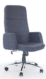 Executiv-Directorial-Vizitator - 6500 Arya