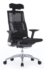 Executiv-Directorial-Vizitator - POFIT2