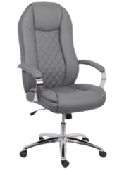 Banci & Scaune - SCAUN ERGOFLEX PRO OFC02