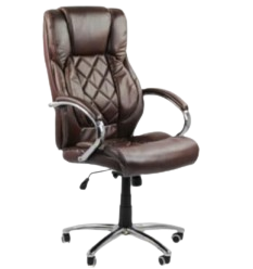 Banci & Scaune - SCAUN ERGOFLEX PRO OFC06