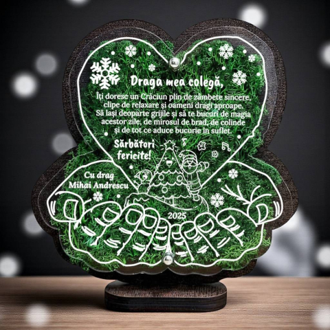 Cadouri personalizate - Trofeu personalizat cu licheni de craciun - Pentru colega