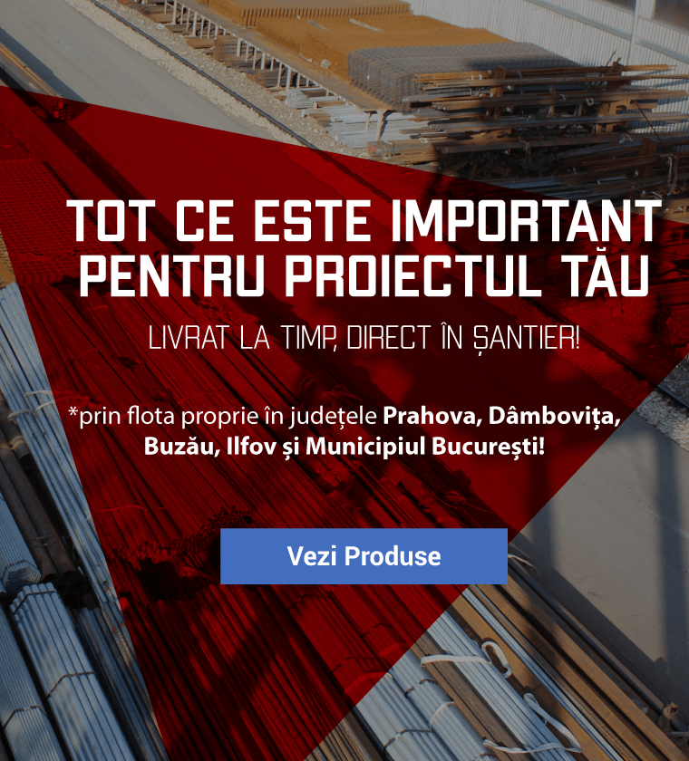 Proiectul tau
