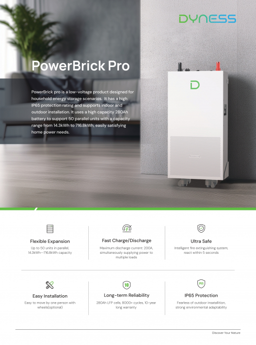 Baterie solara Dyness 14.336 kWh 51.2V LiFePO4 - PowerBrick Pro [11]