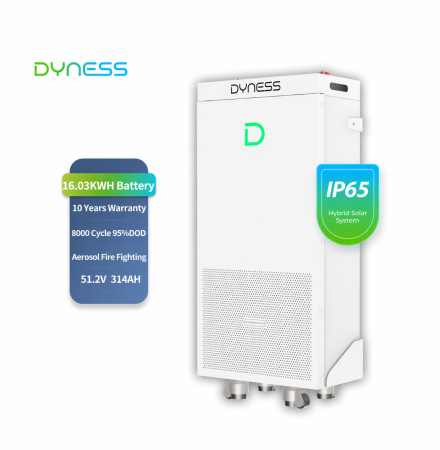 Acumulatori - Baterie solara Dyness 16.07 kWh 51.2V LiFePO4 IP65 - PowerBrick Plus