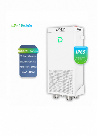 Baterie solara Dyness 16.07 kWh 51.2V LiFePO4 IP65 - PowerBrick Plus [11]