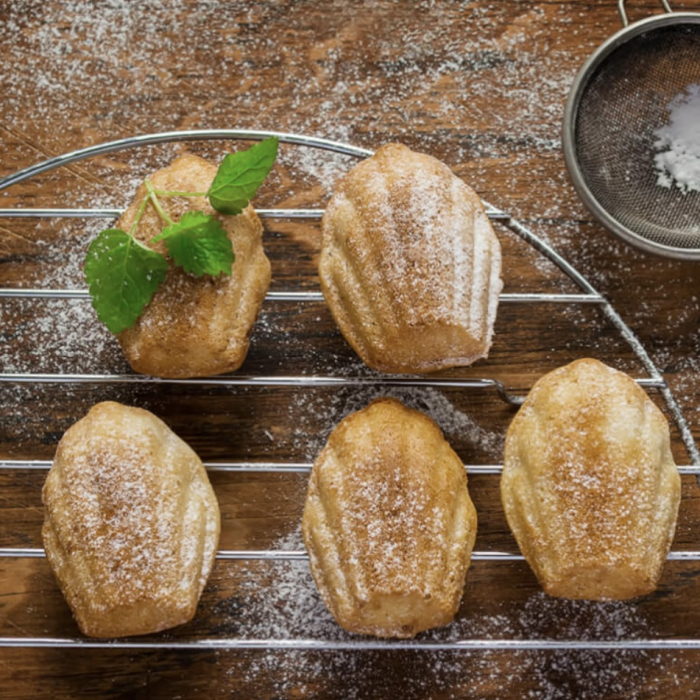 Forma silicon Madeleine 300 x 175 mm, 9 cavitati [3]