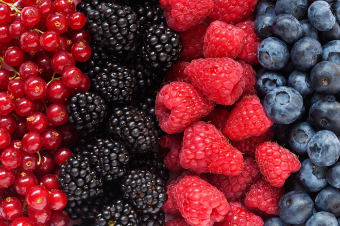 Gem de fructe de padure, extraordinar de gustos! 5 KG [2]
