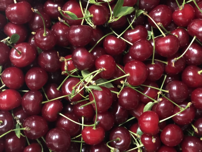 Gem asortat de visine pentru patiserii 5 KG [2]