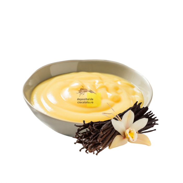Premix Crema Patiserie Vanilie CREDI KREM VANILLA [2]