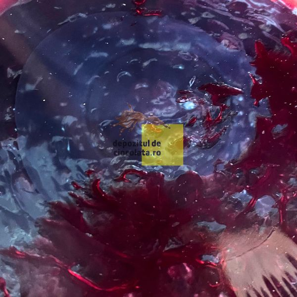 Umplutura de Visine 80% PREMIUM termorezistenta  - 12 KG [3]