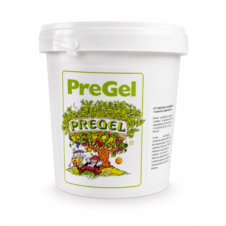 GLAZURI, UMPLUTURI, CREME - Cremă de Alune PreGel – 1 kg