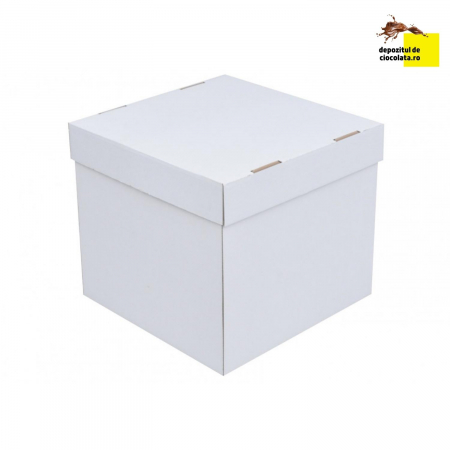 CUTIE TORT CARTON  CU CAPAC 30x30x30 cm [1]