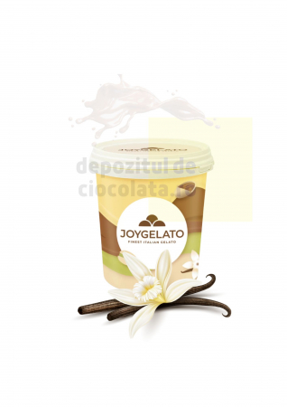 GLAZURI, UMPLUTURI, CREME - Joypaste VANILIE CARIBE 1.2KG