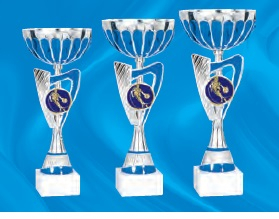 Cupă sport argintie cu suport pentru pastilă personalizabilă – 3 dimensiuni [2]