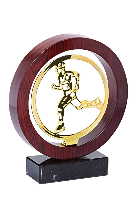 Trofeu Lemn/metal diverse sporturi 22cm - [5]