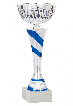Cupe Economic - Cupă 27/25/22/20 cm
