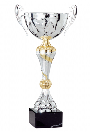 Cupe Standard - Cupă 40/38/31/27 cm