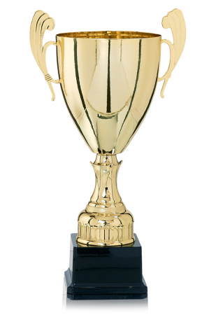 Cupe Premium - Cupă 48/43/40/37/31/26cm - Design Elegant pentru Premii