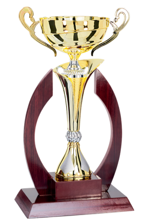 Cupe Prestige - Cupă gama Prestige 38-33-31-28-25-23-20 cm