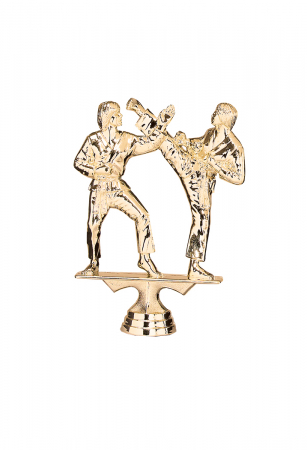 Figurine - Figurină 16cm Karate