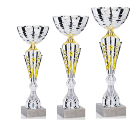 Seturi 3 cupe Economic - Set 3 cupe - 34-30-28 cm