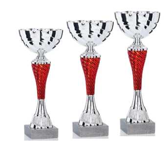 Seturi 3 cupe Economic - Set 3 cupe - 33-30-28 cm -