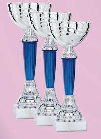 Seturi 3 cupe Economic - Set 3 cupe - înălțime medie 21 cm