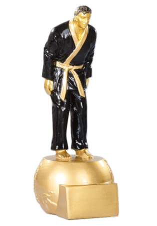 Figurine rasina 20cm - Judo