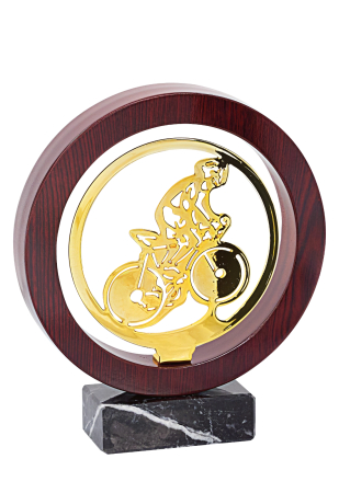 Trofeu Lemn/metal diverse sporturi 22cm - [2]