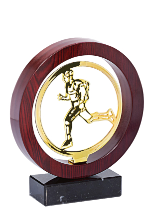 Trofeu Lemn/metal diverse sporturi 22cm - [4]