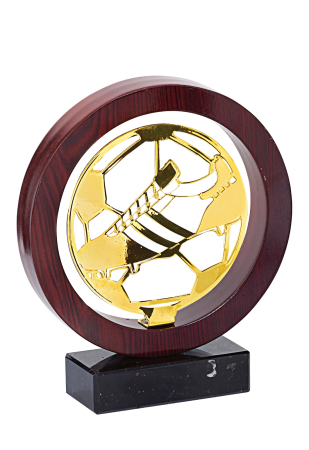 Trofeu Lemn/metal diverse sporturi 22cm - [1]