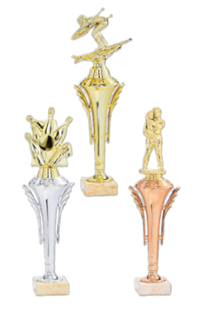 Trofee lemn - Trofeu ABS diverse sporturi 32cm -