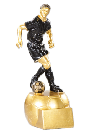 Trofee fotbal - fotbal