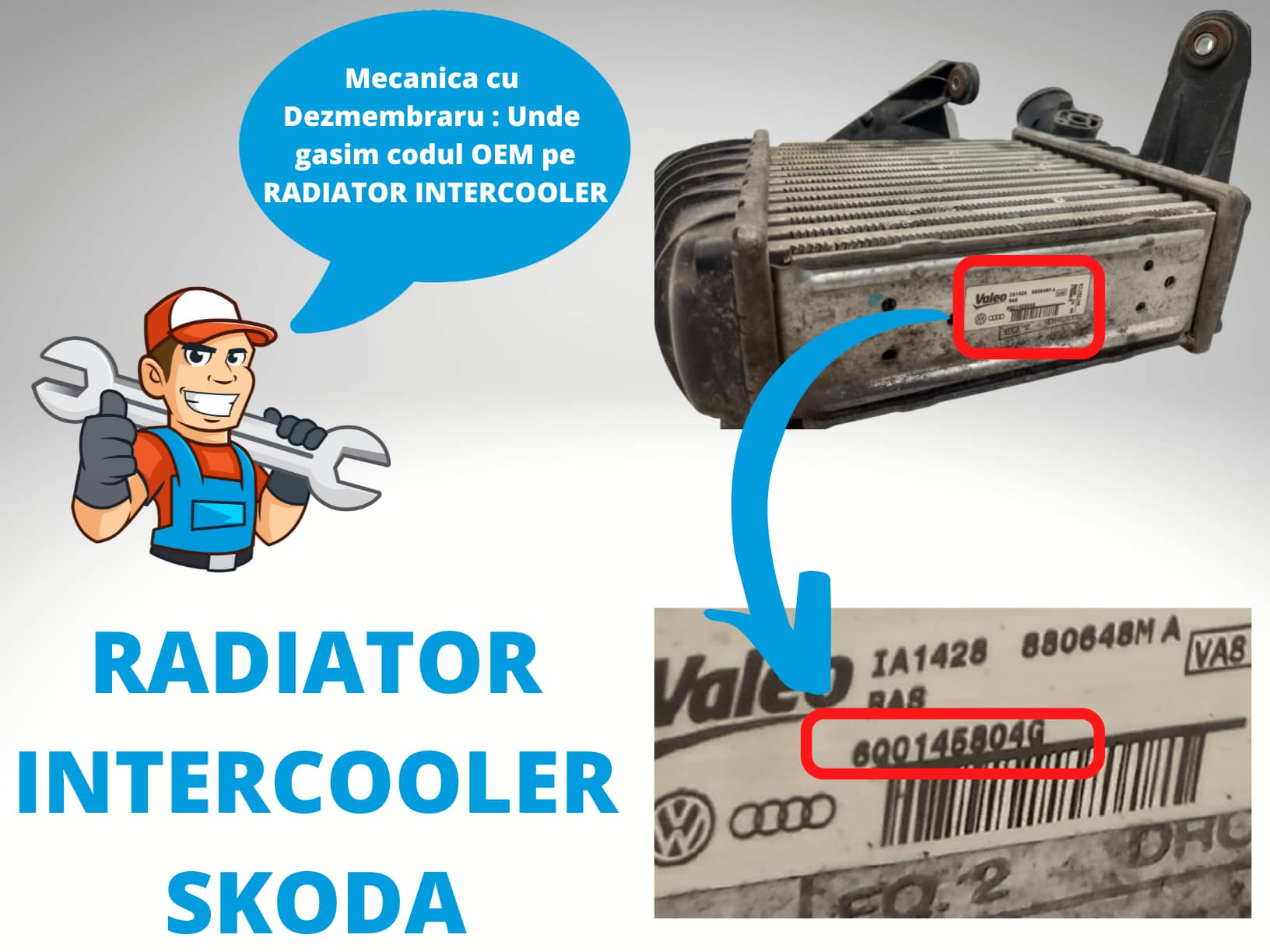 Radiator Intercooler Skoda