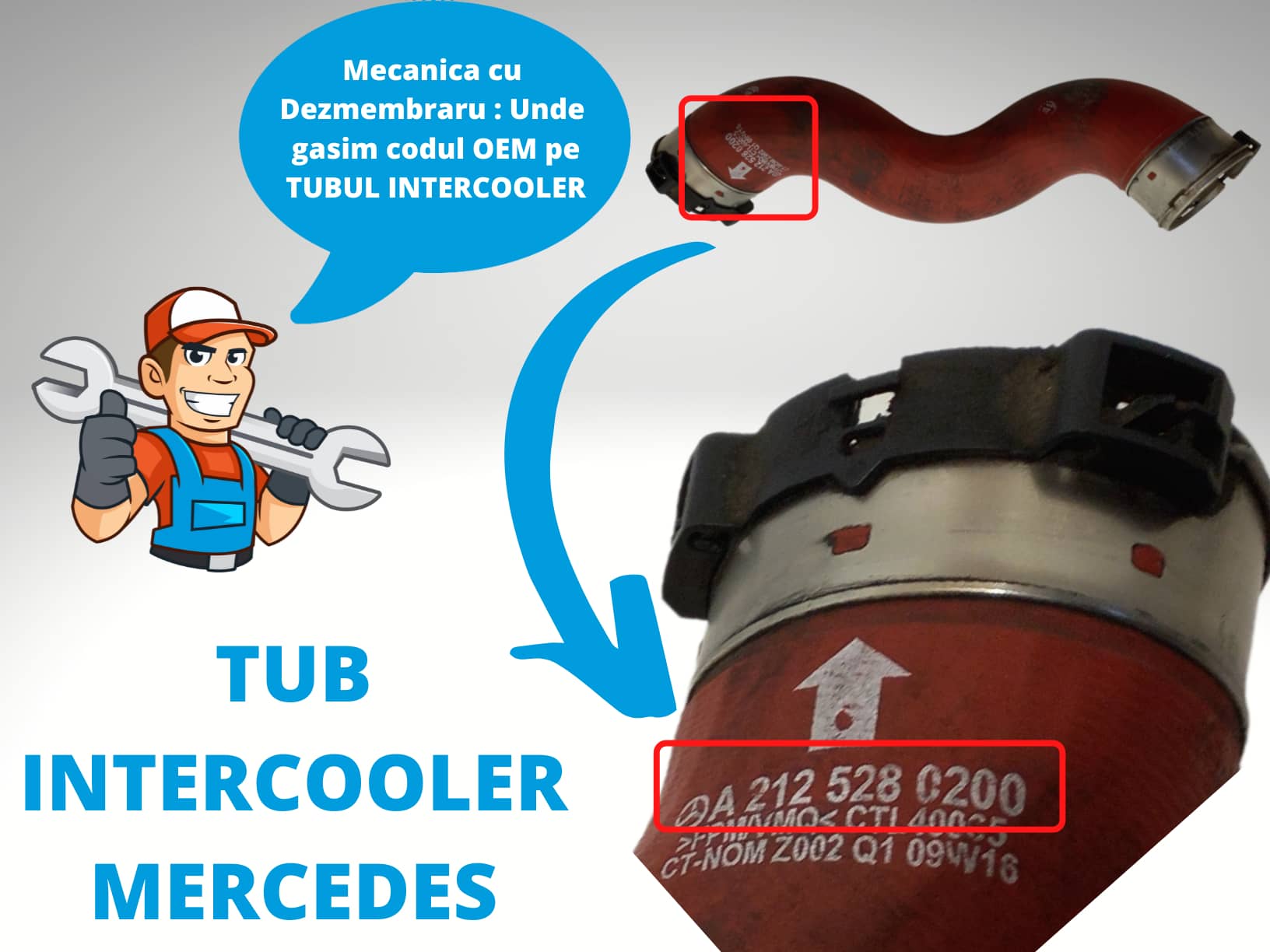 Tub Intercooler Mercedes