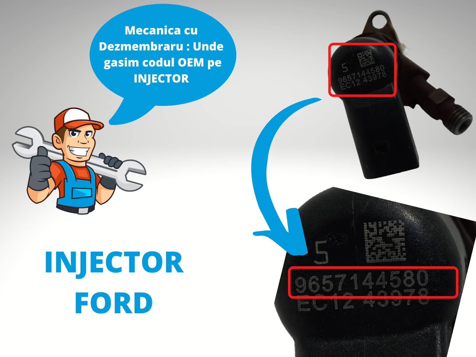 Injector Ford
