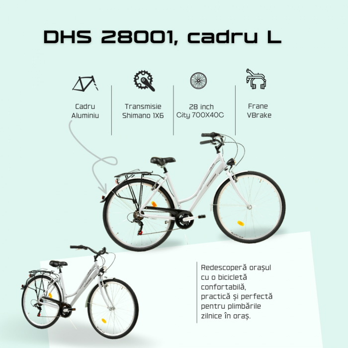 Citybike Dhs City 28001 - 28 Zoll, L, Argintiu [9]