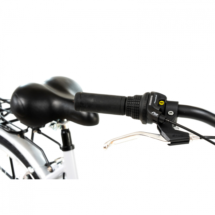 Citybike Dhs City 28001 - 28 Zoll, L, Argintiu [6]
