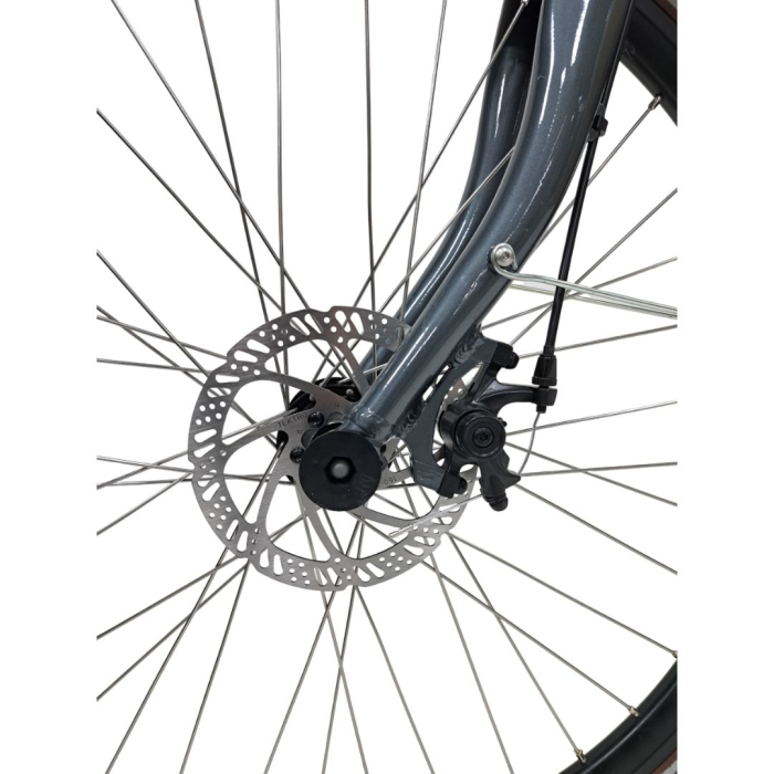 City Fahrrad Stella 28080 - 28 Zoll, XL, Grau [8]