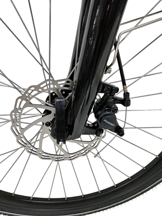 E-BIKE DEVRON 26124, 425MM, GRI PETROL [3]