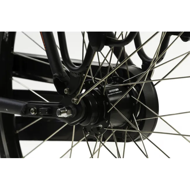 Bicicletta Elettrica Corwin 28122 - 28 Pollici, 490mm, Nero [5]
