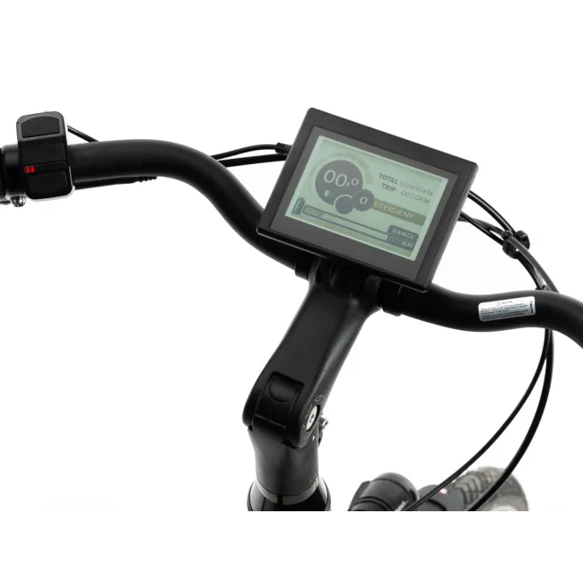 Bicicletta Elettrica Corwin 28122 - 28 Pollici, 490mm, Nero [4]