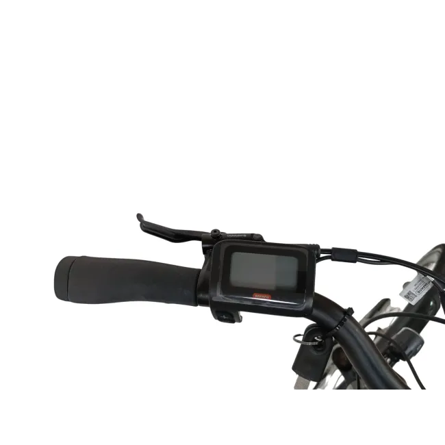 Bicicletta Elettrica Corwin 28124 - 28 Pollici, L, Grigio [6]