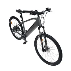 Electric Bike Corwin 28162 – 28 Inch, 450mm, Grey [2]