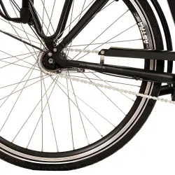 Electric Bike Corwin 28320 - 28 Inch, XL, Black [9]