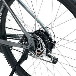 Electric Bike Corwin 29223 - 29 Inch, L, Grey [6]