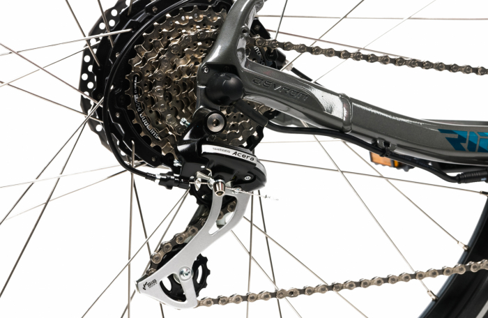 Elektrofahrrad Devron 28161 - 28 Inch, 490mm, Schwarz [7]
