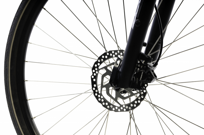Elektrofahrrad Devron 28162 - 28 Inch, L, Grau [6]